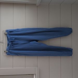 Billabong pants, periwinkle, size large